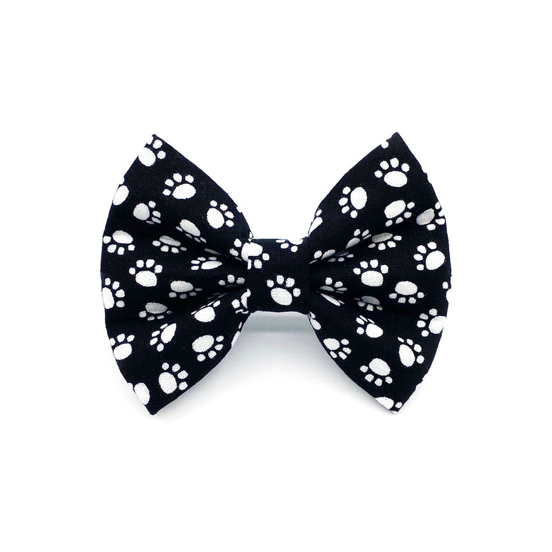 Paws & Reflect | Bow Tie