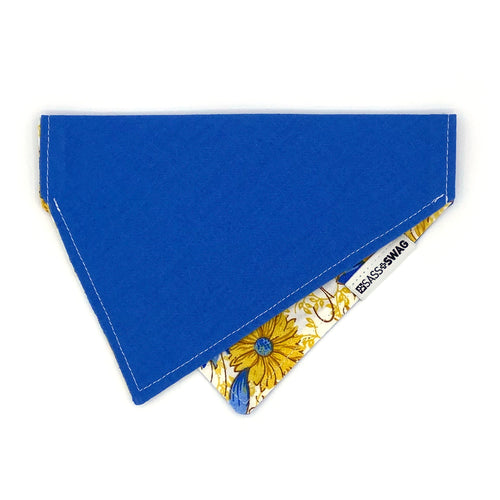 The Winnie | Collar Bandana