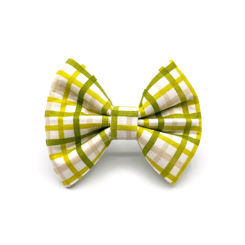 The Max | Bow Tie